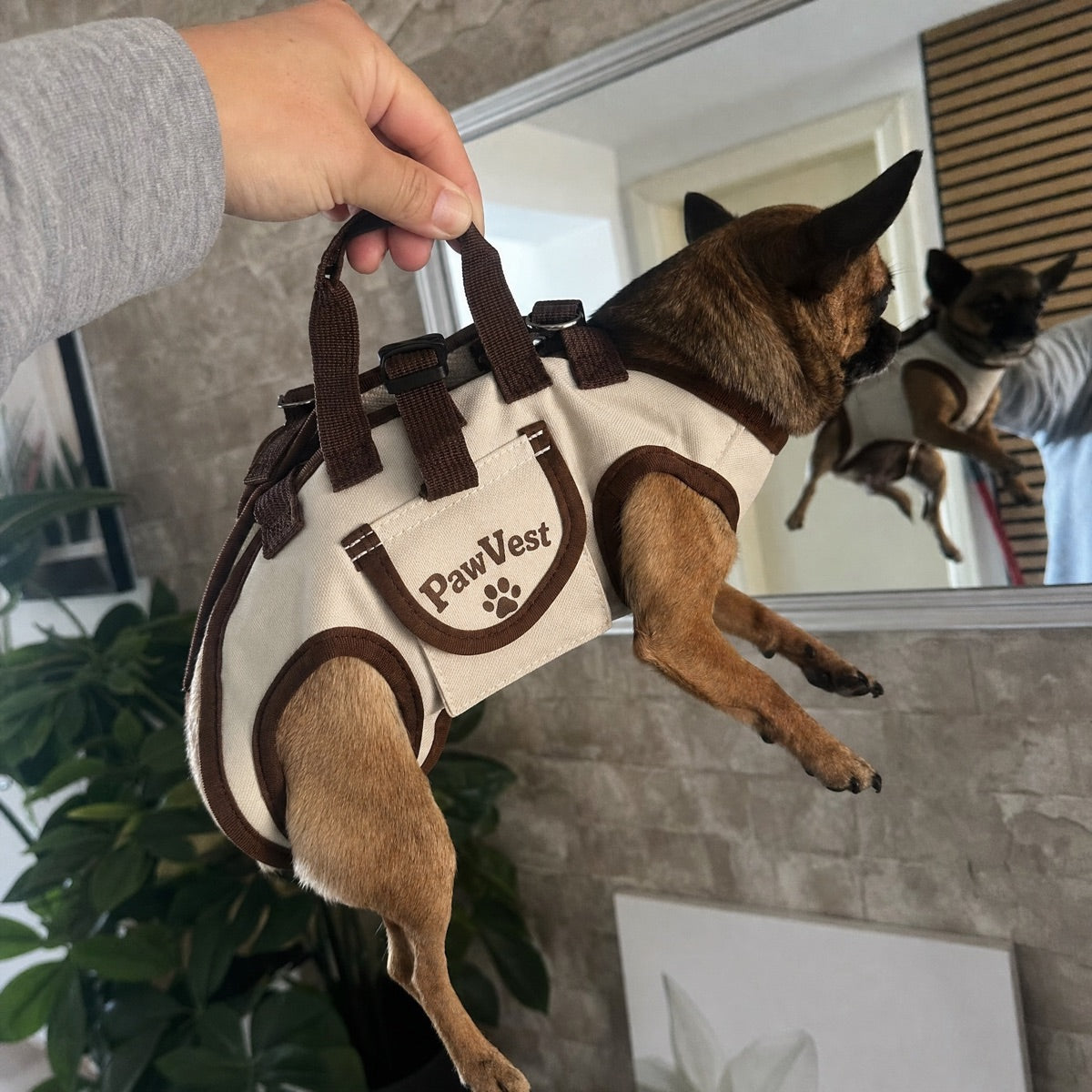 PawVest Wearable Pet Carrier
